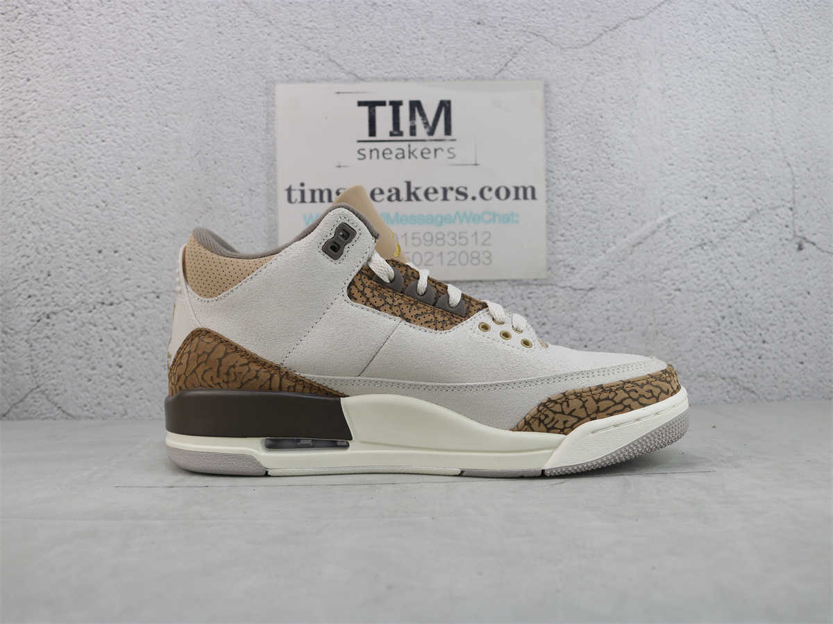 Air Jordan 3 Retro Palomino CT8532-102